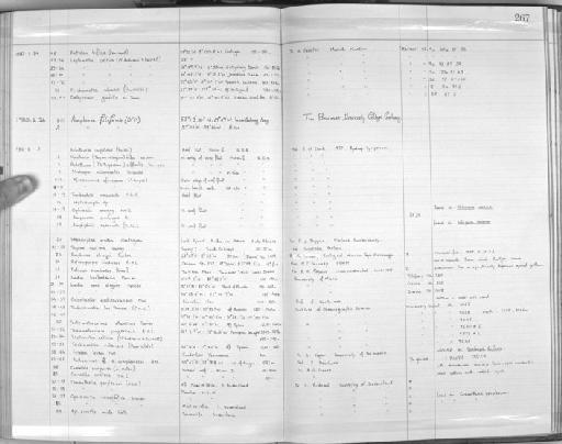 Bathycrinus gracilis Thomson, 1872 - Zoology Accessions Register: Echinodermata: 1935 - 1984: page 267