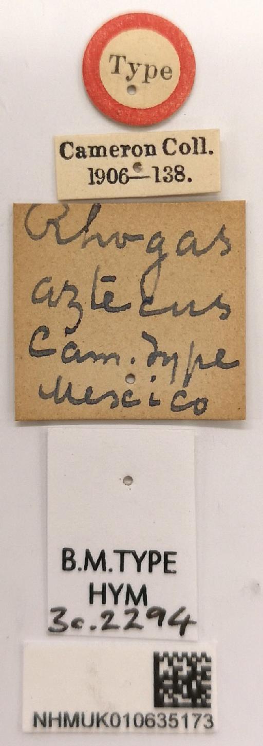 Rhogas aztecus Cameron, P., 1905 - 010635173_Rhogas_aztecus_holotype_labels