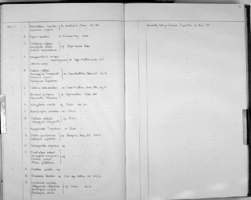 Cellaria salicornioides - Zoology Accessions Register: Bryozoa: 1971 - 1986: page 53