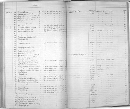 Spongioderma verrucosa (Mobius) - Zoology Accessions Register: Coelenterata & Anthozoa: 1884 - 1934: page 252