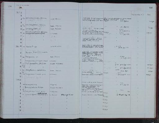 Henryhowella sentosa Ahmad, Neale and Siddiqui, 1991 - NHM-UK_P_DF118_04_10_0201