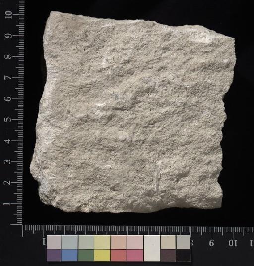 Limestone - econ 7810.tif