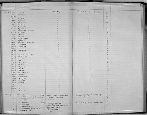 Ennea ponsonbyi subterclass Tectipleura Burnup, 1914 - Zoology Accessions Register: Mollusca: 1911 - 1924: page 155