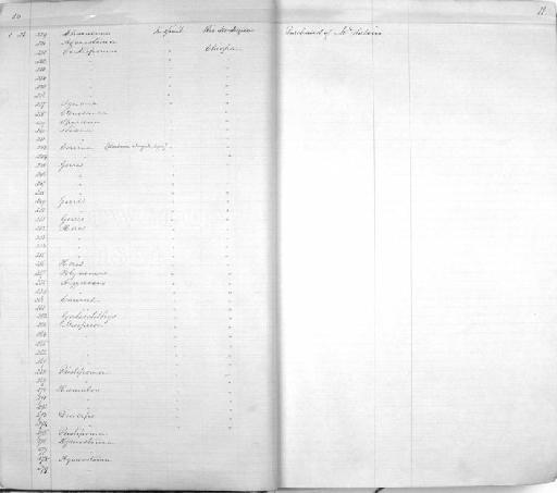 Cichlasoma macracanthum (Günther, 1867) - Zoology Accessions Register: Reptiles & Fishes: 1864 - 1877: page 11