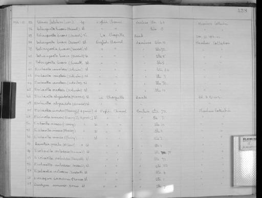 Omalosecosa ramulosa (Linnaeus, 1767) - Zoology Accessions Register: Bryozoa: 1950 - 1970: page 137