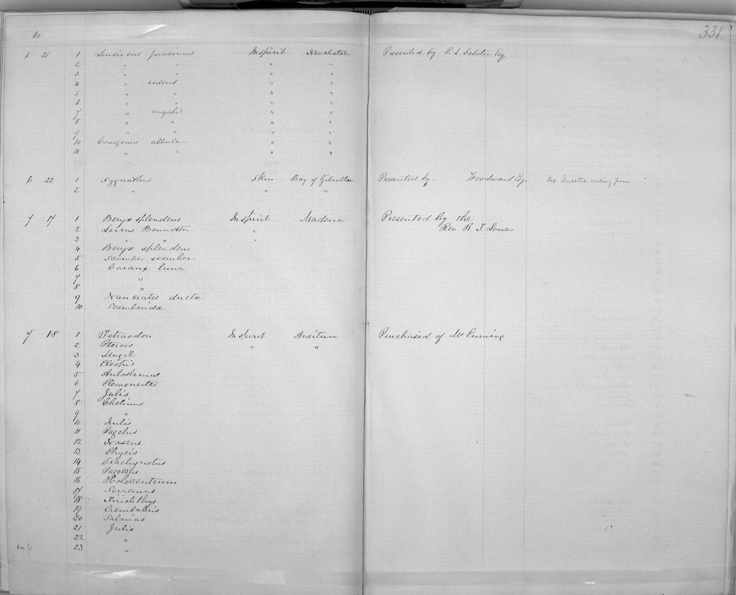 Zoology Accessions Register: Mammals: 1854 - 1861: page 331