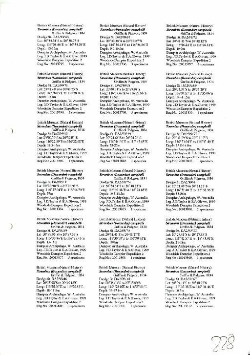 Strombus campbelli Griffin - Zoology Accessions Register: Mollusca: 2001: page 228