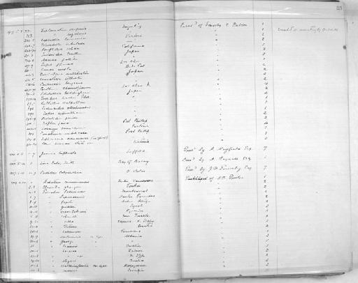Pompholyx solida subterclass Tectipleura - Zoology Accessions Register: Mollusca: 1906 - 1911: page 25