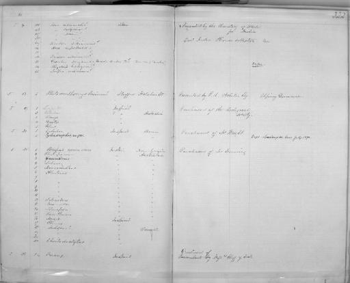 Cossyphus unimaculatus Günther, 1862 - Zoology Accessions Register: Mammals: 1854 - 1861: page 322