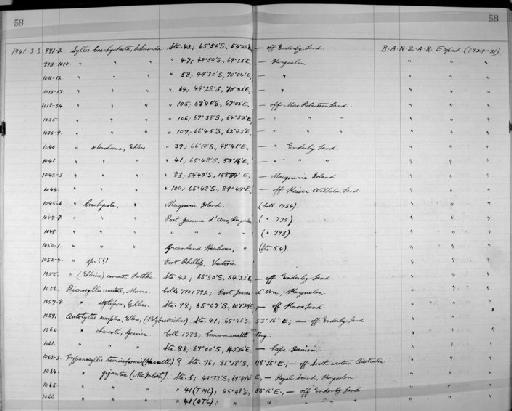 Trypanosyllis taeniaeformis Haswell - Zoology Accessions Register: Annelida: 1936 - 1970: page 58