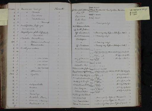 Terebratula wyvilli Davidson, 1878 - NHM-UK_P_DF118_05_02_0283