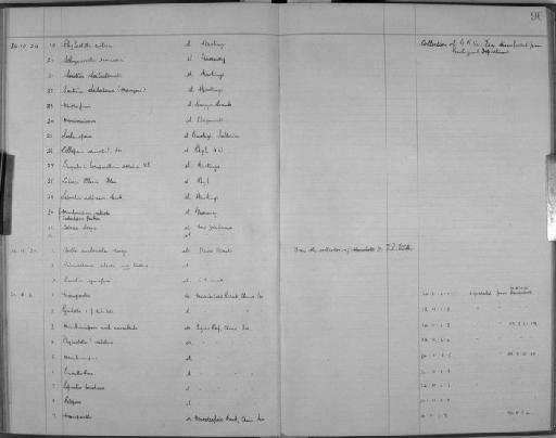 Callopora sp. - Zoology Accessions Register: Bryozoa: 1922 - 1949: page 96