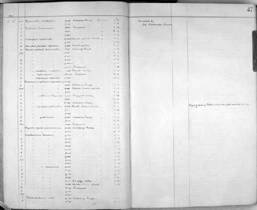 Paradoxornis unicolor saturatior Rothschild,  1921 - Zoology Accessions Register: Aves (Skins): 1921 - 1923: page 47