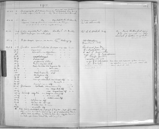 Trochospongilla phillottiana Annandale - Zoology Accessions Register: Spongiida & Protozoa: 1887 - 1918: page 112