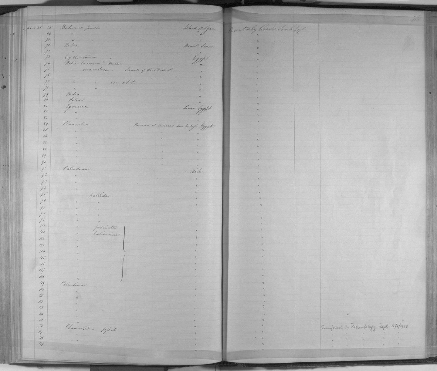 Zoology Accessions Register: Mollusca: 1844 - 1847: page 216