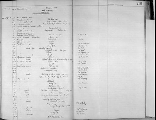 Hippolyte unidens - Zoology Accessions Register: Crustacea - Norman Collection: 1911: page 216