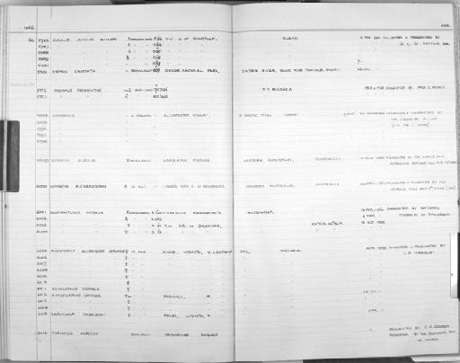 Elephantulus myurus Thomas and Schwann, 1906 - Zoology Accessions Register: Mammals: 1965 - 1966: page 228