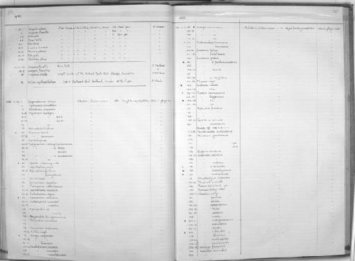 Chaetodon bennettii - Zoology Accessions Register: Fishes: 1971 - 1985: page 333