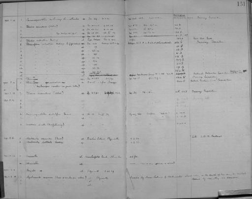 Chaperiella Strand, 1928 - Zoology Accessions Register: Bryozoa: 1922 - 1949: page 151