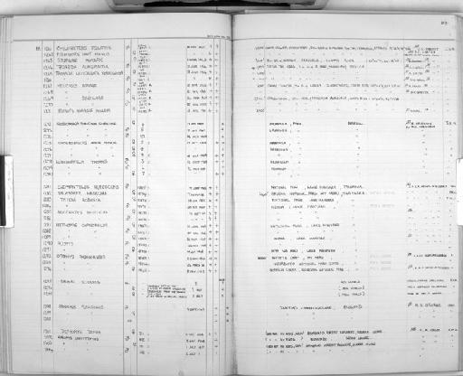 Choeroniscus minor - Zoology Accessions Register: Mammals: 1967 - 1970: page 113