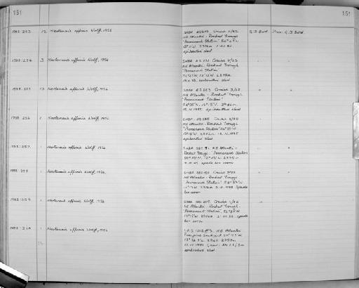 Neotanais affinis Wolff, 1956 - Zoology Accessions Register: Crustacea: 1984 - 1991: page 151