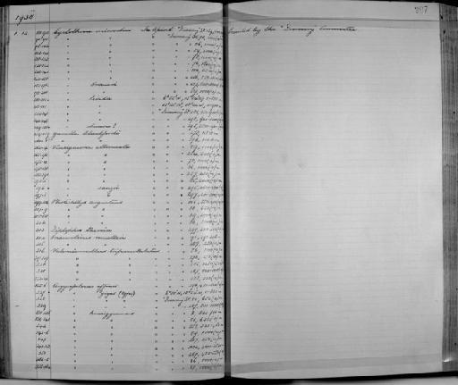 Cyclothone obscura Brauer, 1902 - Zoology Accessions Register: Fishes: 1912 - 1936: page 207