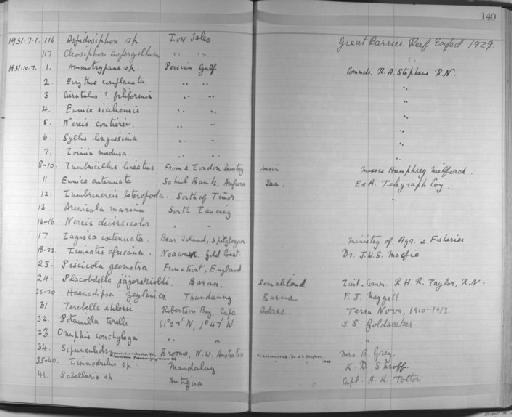 Potamilla torelli Malmgren - Zoology Accessions Register: Annelida & Echinoderms: 1924 - 1936: page 140