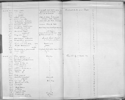 Terebra delicatula Kaicher, 1981 - Zoology Accessions Register: Mollusca: 1906 - 1911: page 147