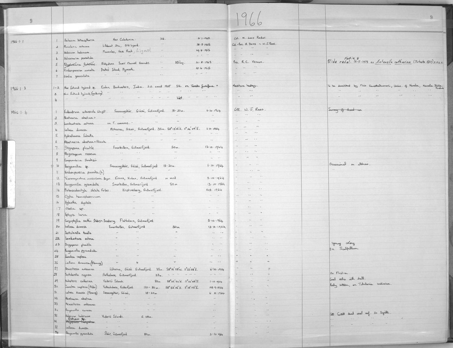 Zoology Accessions Register: Coelenterata: 1964 - 1977: page 9