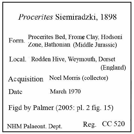 Procerites von Siemiradzki, 1898 - CC 520. Procerites label (label)