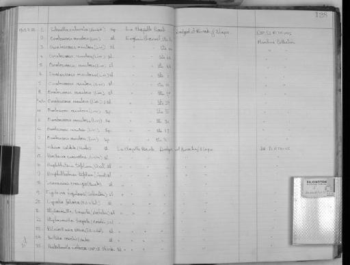 Omalosecosa ramulosa (Linnaeus, 1767) - Zoology Accessions Register: Bryozoa: 1950 - 1970: page 128