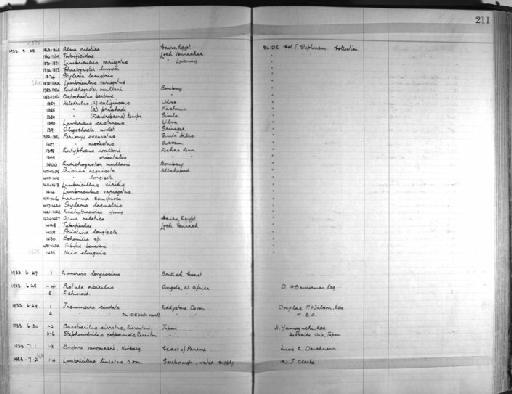 Eunereis longissima (Johnston, 1840) - Zoology Accessions Register: Annelida & Echinoderms: 1924 - 1936: page 211