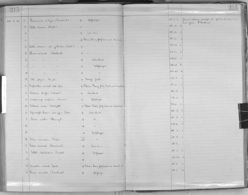 Stylocordyla borealis typica Burton, 1931 - Zoology Accessions Register: Spongiida: 1929 - 1938: page 215