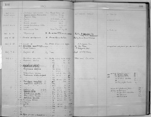 Velella spirans - Zoology Accessions Register: Coelenterata: 1934 - 1951: page 100