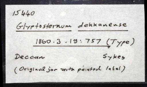 Glyptosternum dekkanense Günther, 1864 - 1860.3.19.757; Glyptosternum dekkanense; image of jar label; ACSI project image