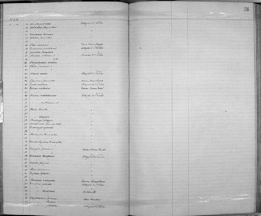 Nectarinia jugularis australis - Zoology Accessions Register: Aves (Skins): 1892 -1896: page 58