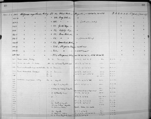 Lumbrineris magalhaensis Kinberg, 1865 - Zoology Accessions Register: Annelida: 1936 - 1970: page 60