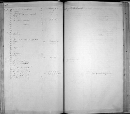 Rhinobatos blochii Müller & Henle, 1841 - Zoology Accessions Register: Mammals: 1844 - 1846: page 133