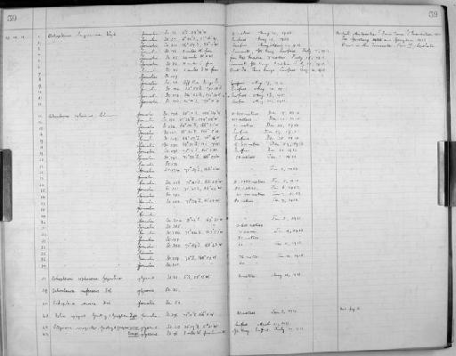 Folia gigas Garstang & Georgeson, 1935 - Zoology Accessions Register: Protochordata & other groups: 1922 - 1993: page 59