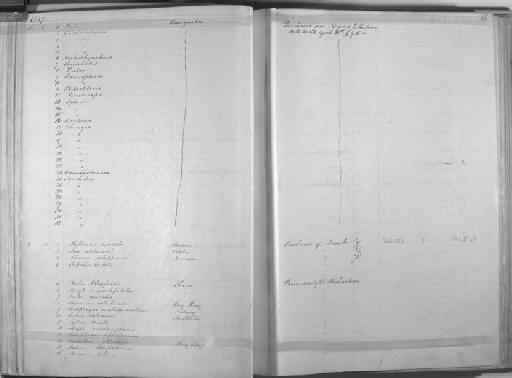 Muraena helena australiae Richardson, 1848 - Zoology Accessions Register: Mammals: 1846 - 1849: page 66