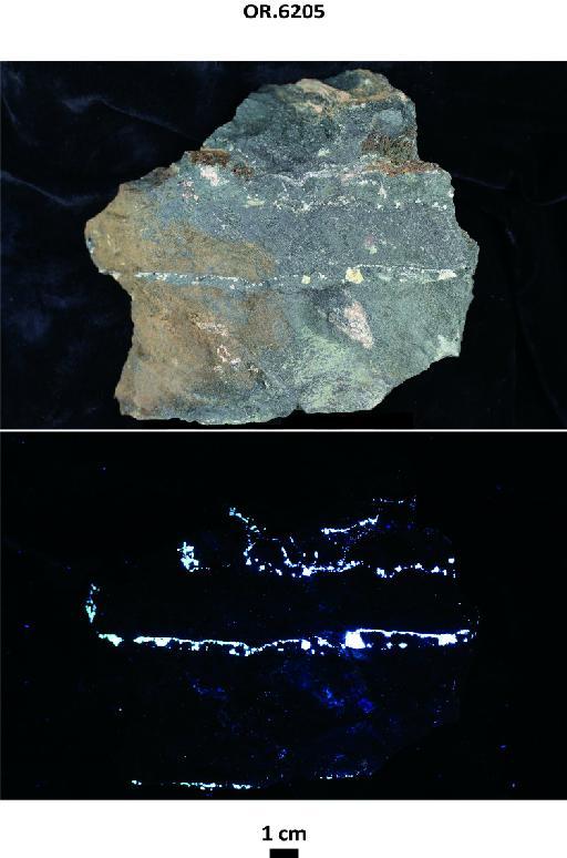 Scheelite in quartz vein and on surface of greenstone - OR.6205 photographs