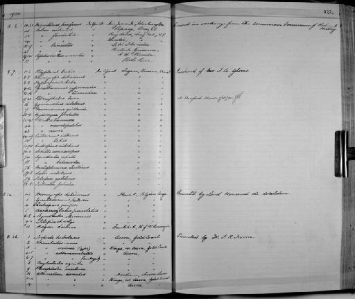 Auchenoglanis punctatus Boulenger, 1902 - Zoology Accessions Register: Fishes: 1912 - 1936: page 222