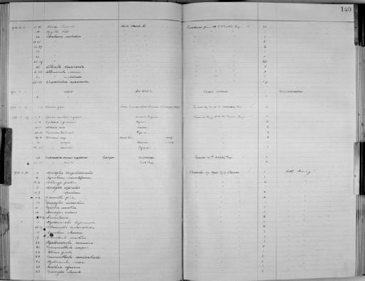 Paralaoma subterclass Tectipleura Iredale, 1913 - Zoology Accessions Register: Mollusca: 1925 - 1937: page 140