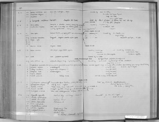 Kryptopterus parvanalis Inger & Chin, 1959 - Zoology Accessions Register: Fishes: 1937 - 1960: page 198