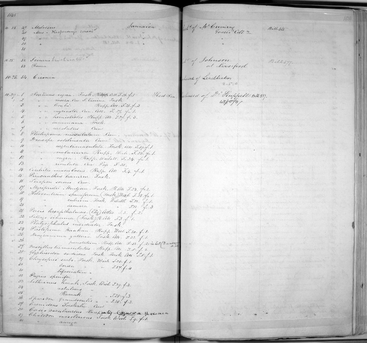 Zoology Accessions Register: Mammals: 1844 - 1846: page 159