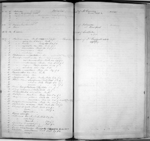 Plectropoma maculatus - Zoology Accessions Register: Mammals: 1844 - 1846: page 159