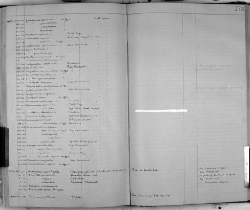 Caprella penantis parvorder Caprellidira Leach, 1814 - Zoology Accessions Register: Crustacea: 1905 - 1935: page 176
