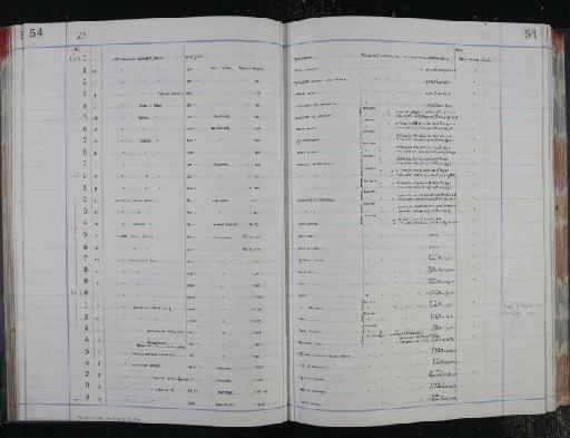 Lagena acuticosta Reuss, 1862 - NHM-UK_P_DF118_04_16_0113