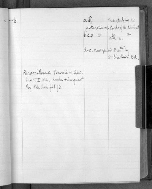 Paramithrax peronii subsection Heterotremata section Eubrachyura H. Milne Edwards, 1834 - Zoology Accessions Register: White's Catalogue of Crustacea III: page 776