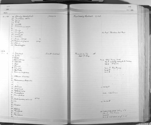 Acrocephalus arundinaceus australis - Zoology Accessions Register: Aves (Skins): 1837 -1853: page 216